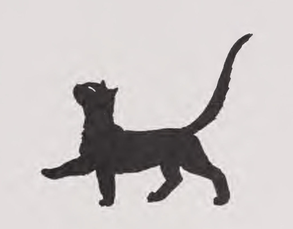 Motion Detection: Anything Is Motion