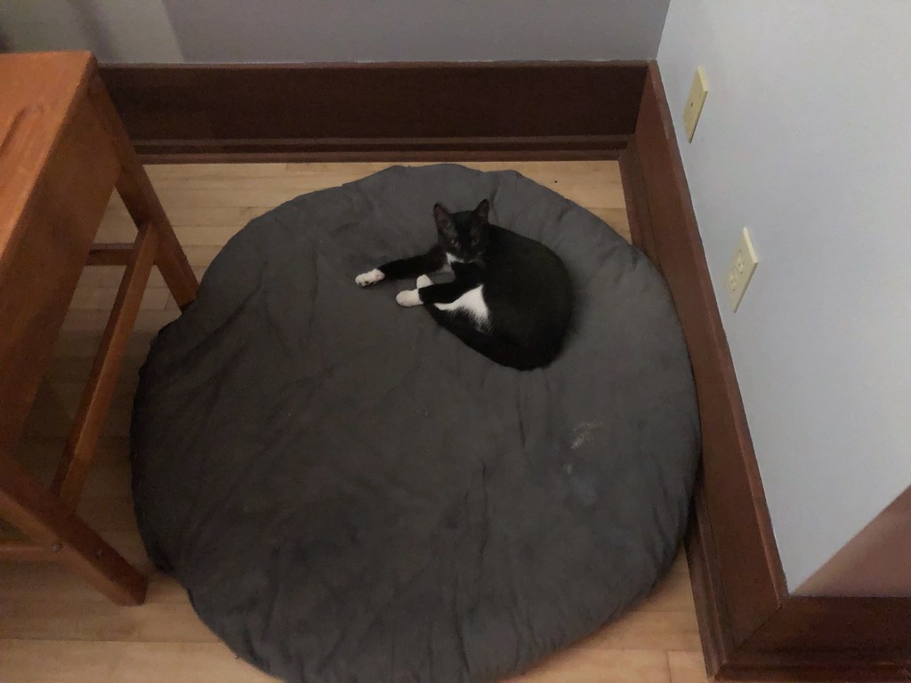Guard Duty Rotates Between Naps